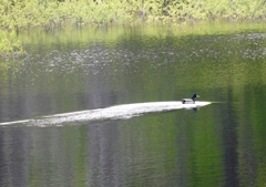 新エンジン搭載