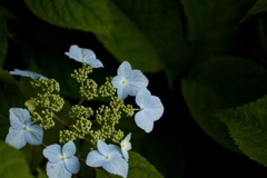 4E5B9AB0-BDDF-4038-A6AA-42AB95CA6E7B