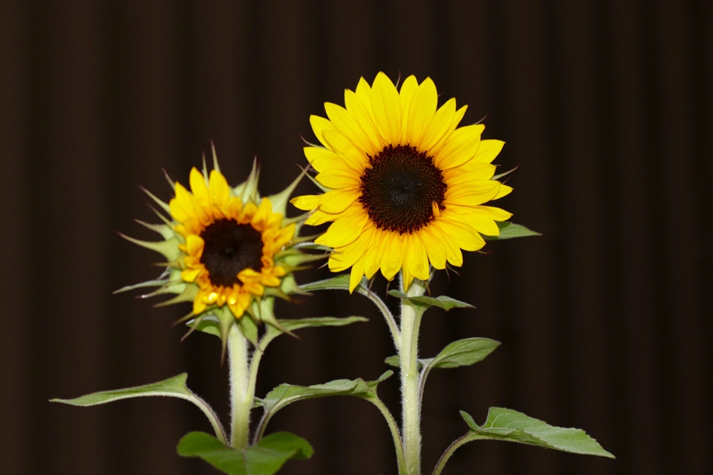 78F30E9C-F123-419C-99C2-B8F05359AF55