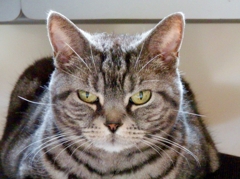 P4200011 よろしく。。。