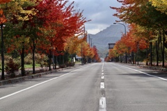 2FCCFA47-7C28-紅葉街道 3