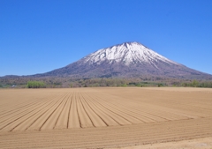 IMG_9953　羊蹄山（まっかり村より）