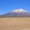 IMG_9953　羊蹄山（まっかり村より）