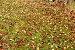 DD8B7255-C686-42EB-8142-6FF08A66BB2B