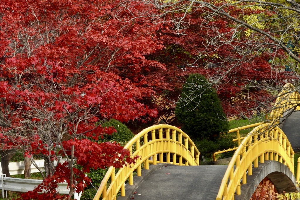 415915EE-35BD-42FB-840F-1435CF19C456