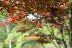 A1F82507-C7F0-4A1E-9C1A-BC8C503A96EE