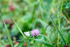 E290FD34-A764-4B42-8FAF-951657D2623A