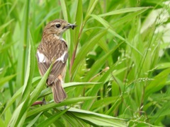 9C1E7EAD-CBCF-45E6-BAC5-B4C335EED3D6