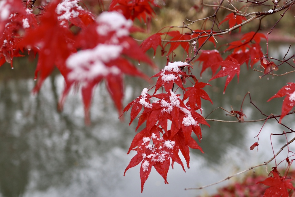 E4E1CB3D-B5F8-49B0-A6EA-5D577C48E34A