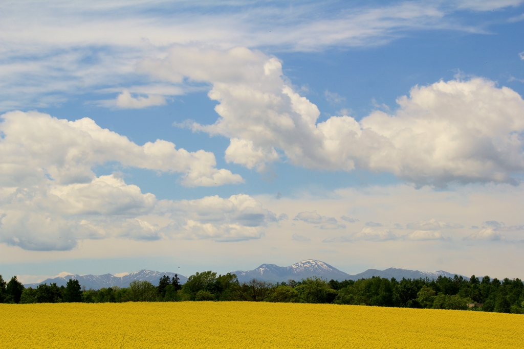 IMG_5590　でっかいど-　ほっかいど--