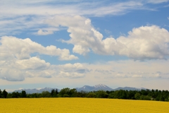 IMG_5590 でっかいど- ほっかいど--