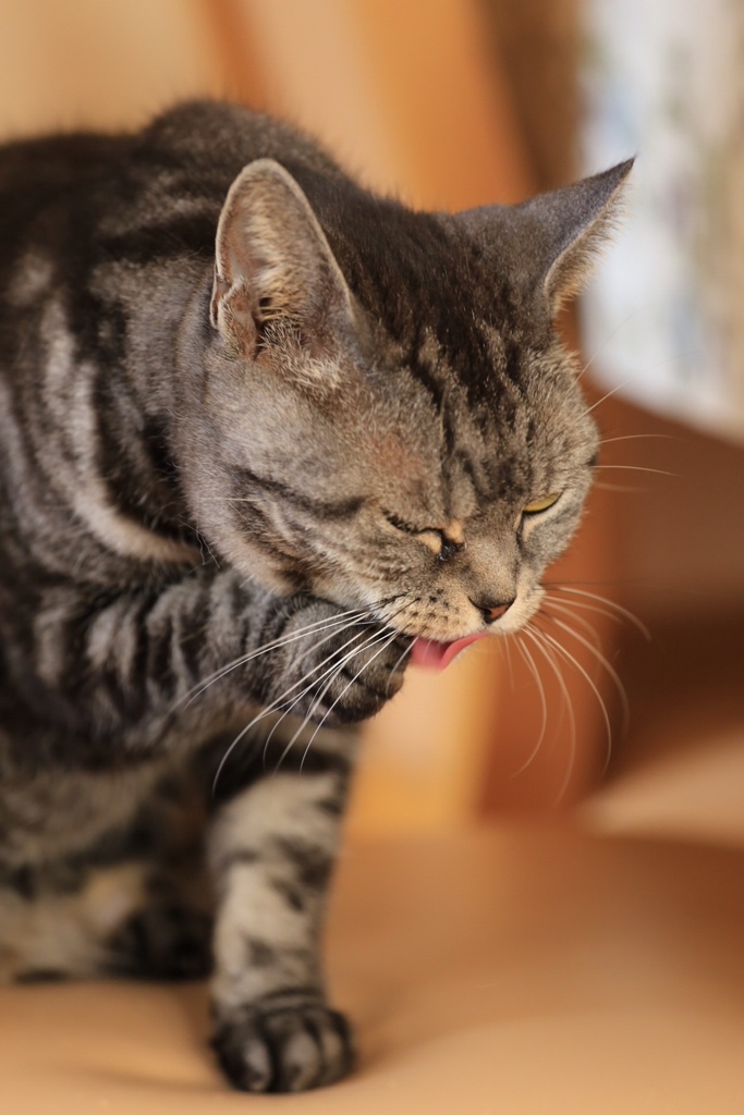 7A807CF3-D5FB-4435-AB83-865806D8F758