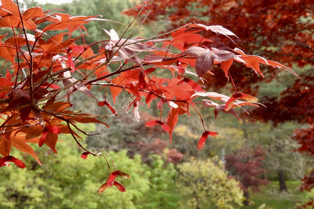 37E78D56-B2B7-489D-A983-CA2236A19359