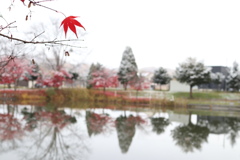 E8EC0041-23F9-4F0C-A88C-FDFE0C838819