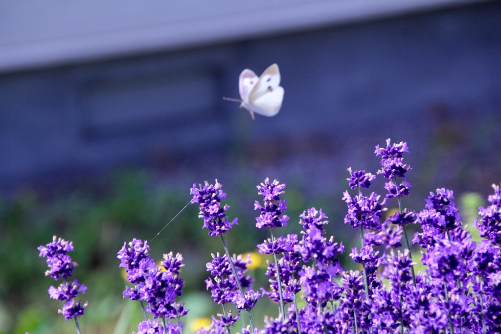 05871281-58FE-4A38-9464-FDBFF5149607