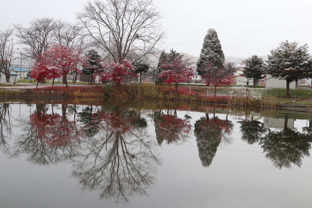 095CB430-A5AB-41B1-9289-7FFA1CCC8D57