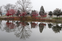 095CB430-A5AB-41B1-9289-7FFA1CCC8D57