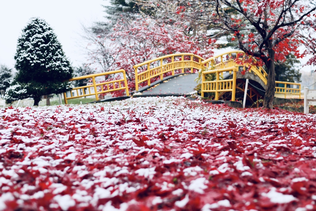 B83C70AA-1CE2-4CCE-B11D-7C0A14D0D5B2