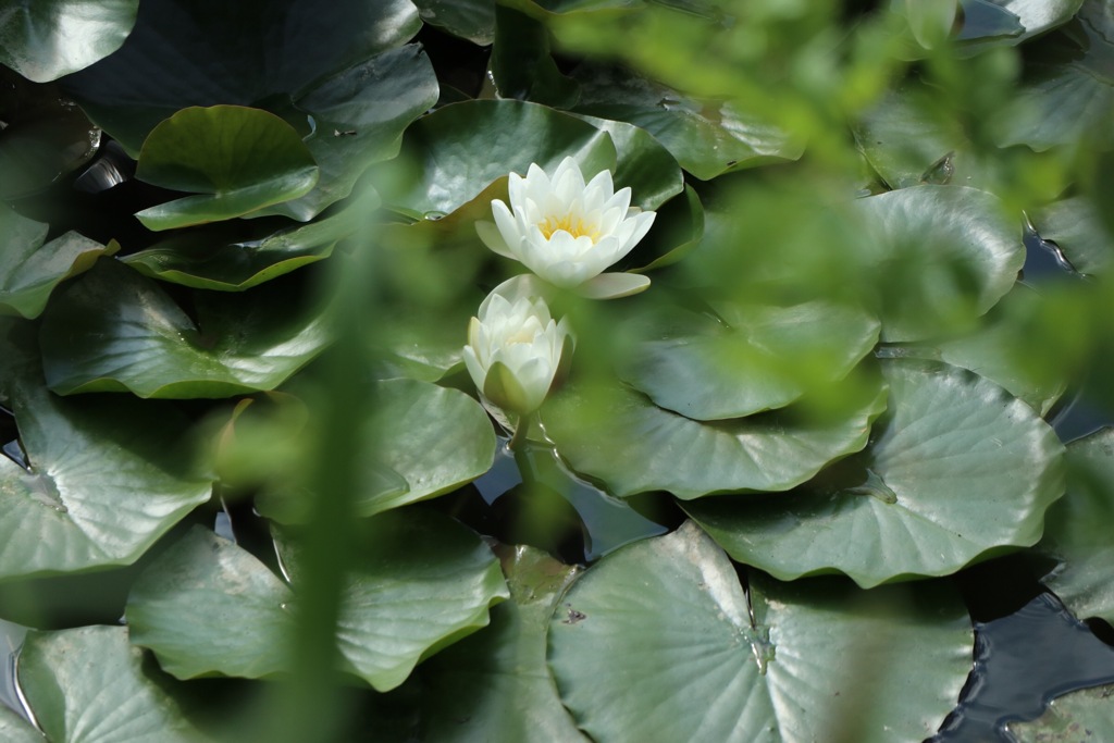 A74B02FD-D420-4891-AA93-247549BE4667