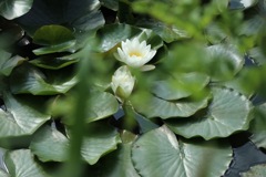 A74B02FD-D420-4891-AA93-247549BE4667