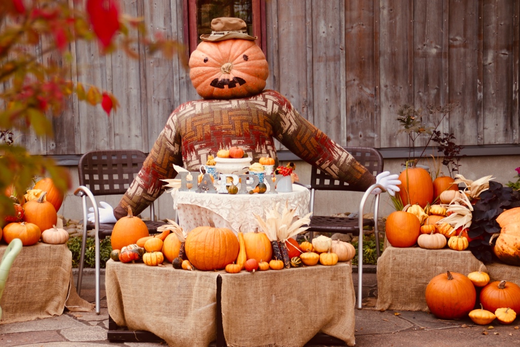 041F6E3A-もう 持ってこんくていいどー。