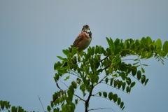 ADA91A99-1083-4661-8351-FE140F3908CC