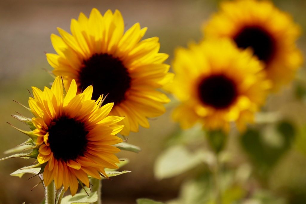 8EF4F817-0D24-4F9D-BA70-8AC60DE72AD6