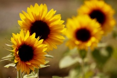 8EF4F817-0D24-4F9D-BA70-8AC60DE72AD6