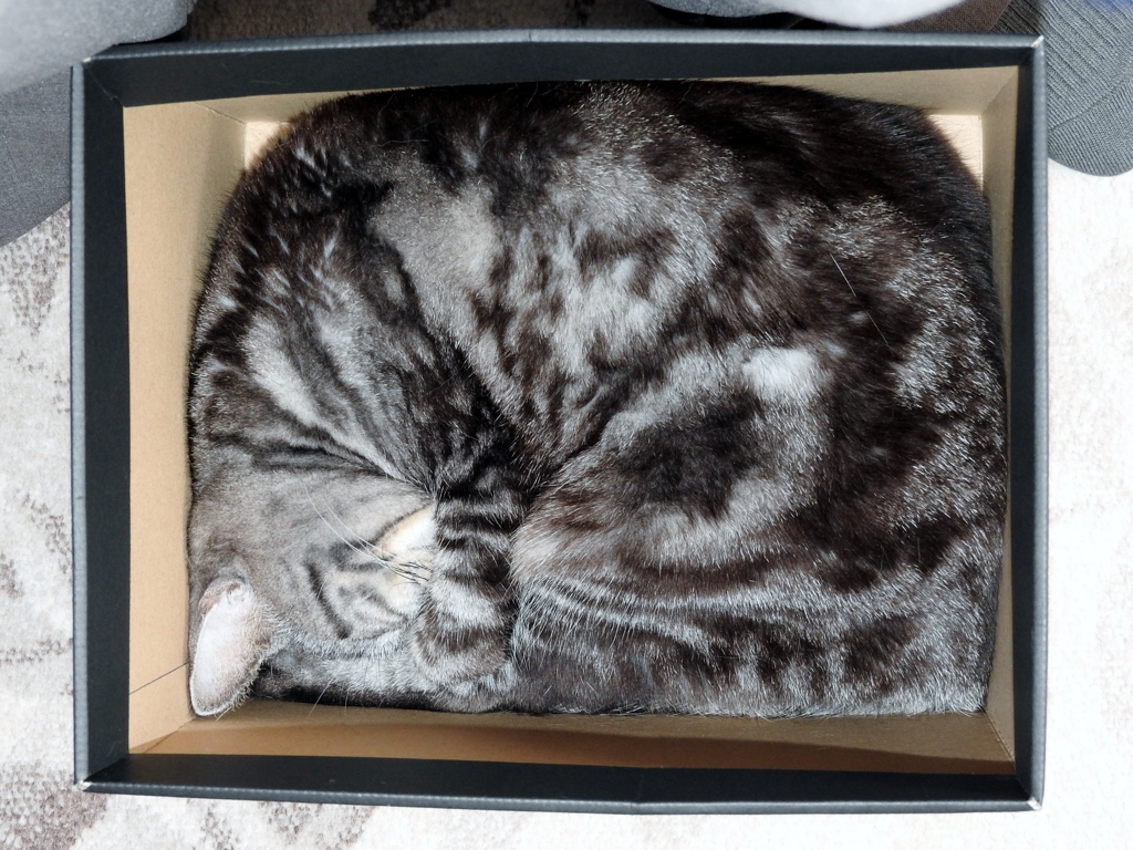 DSCN0136　爆睡中