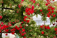 4F2D773A-312A-4215-ADB5-E8C4EF2C654E