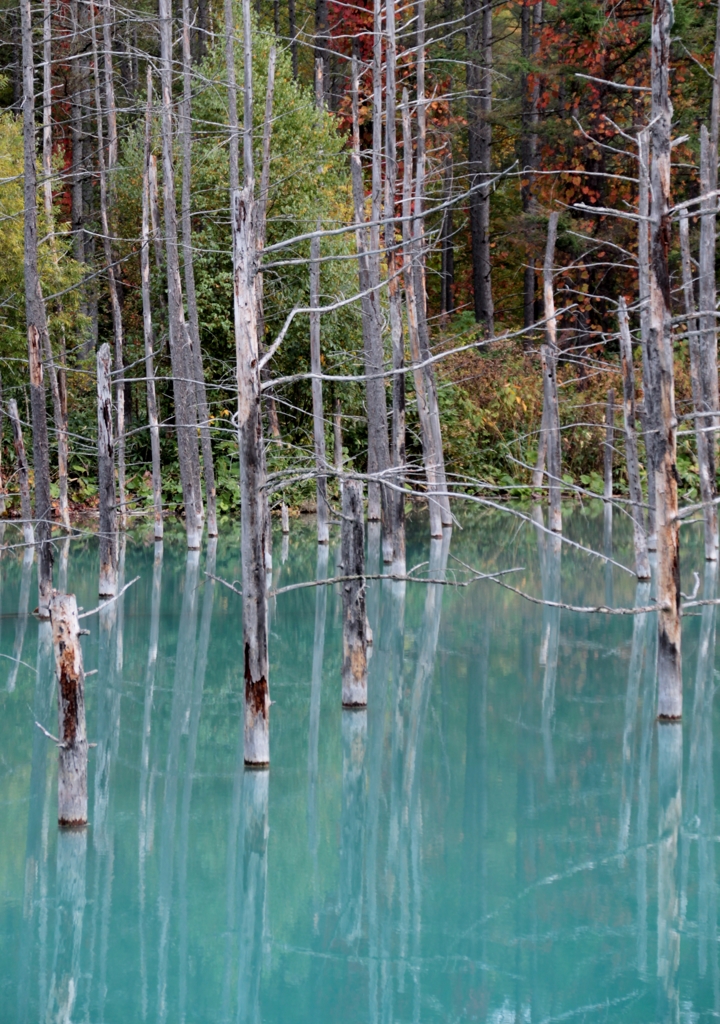 IMG_9327 青い池3連発その2