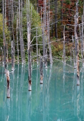 IMG_9327 青い池3連発その2