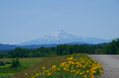 鳥海山遠景