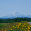 鳥海山遠景