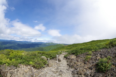 登山道