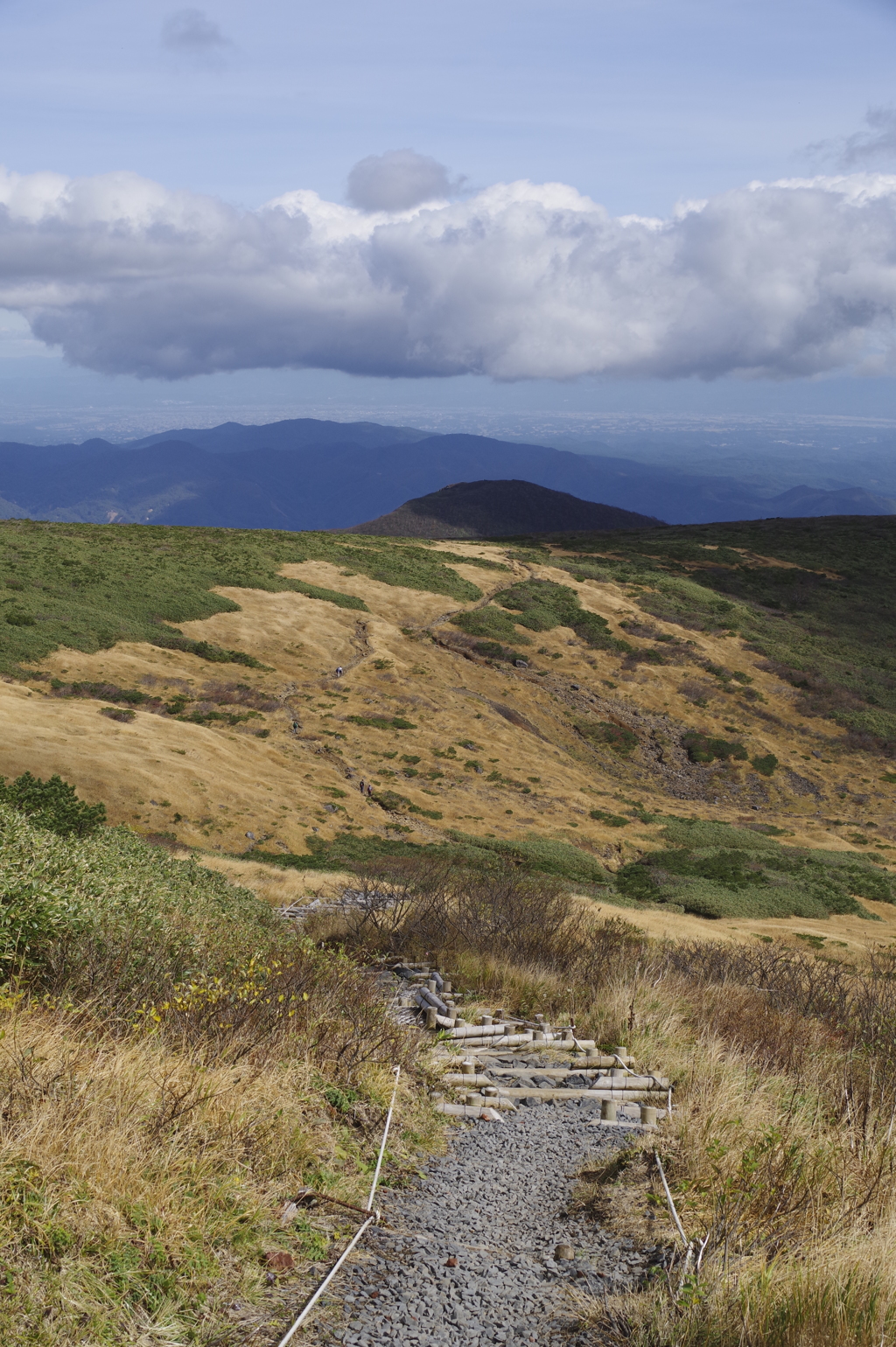登山道
