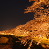 夜桜　Cherry at night