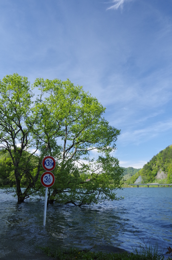 湖の道