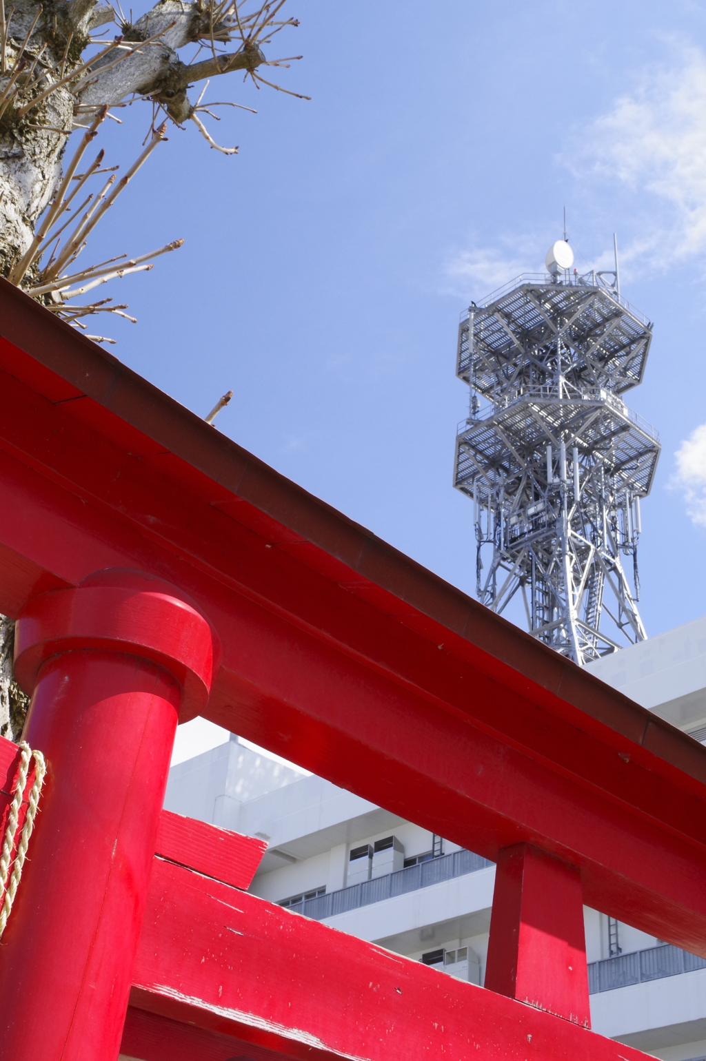 鳥居とアンテナ Torii and Antenna