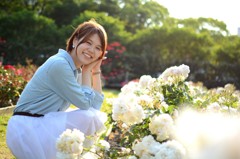白い薔薇と
