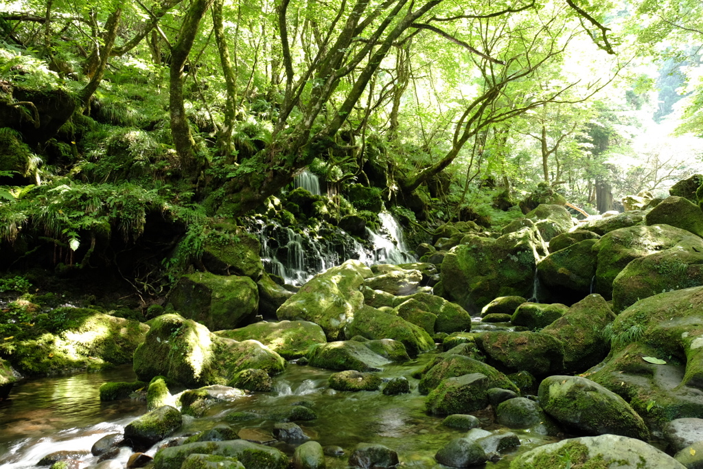 グリーンランド