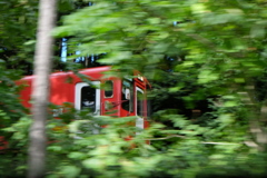 緑に映える赤列車