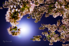 春の夜
