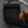 暗い中でも金色に輝くきみ
