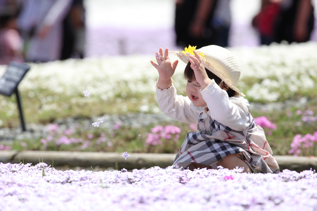 お花がいっぱい