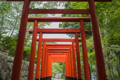 連なる鳥居