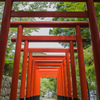 連なる鳥居