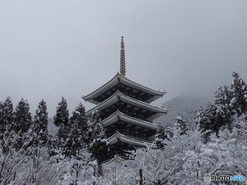 雪降る