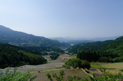 田植え前