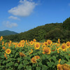 ポタの風景13
